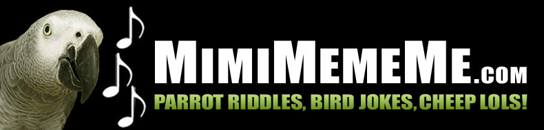 MimiMemeMe.com - Parrot Riddles, Bird Jokes, Cheep LOLs!