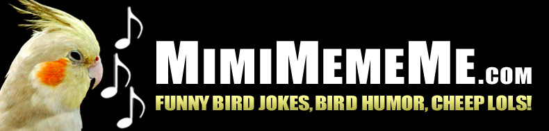 MimiMemeMe.com - Funny Bird Jokes, Bird Humor, Cheep LOLs!