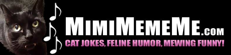 MimiMemeMe.com - Cat Jokes, Feline Humor, Mewing Funny!