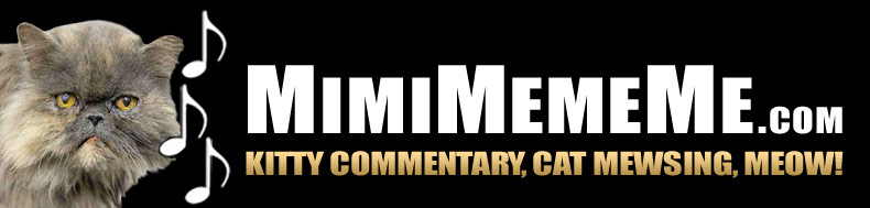 MimiMemeMe.com - Kitty Commentary, Cat Mewsing, Meow!