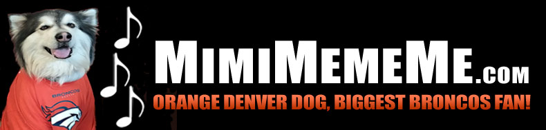 MimiMemeMe.com - Orange Denver Dog, Biggest Broncos Fan!