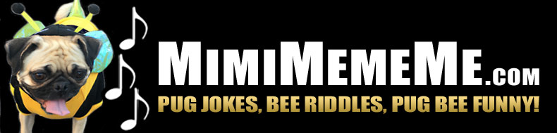 MimiMemeMe.com - Pug Jokes, Bee Riddles, Pug Bee Funny!