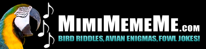 MimiMemeMe.com - Bird Riddles, Avain Enigmas, Fowl Jokes!