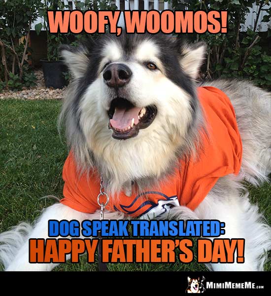 Denver Broncos Dog Says - Woofy, Woomos! Dog speak translated: Happy Father's Day!