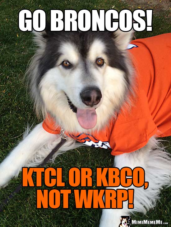 Big Dog Wearing Broncos' Shirt Says: Go Broncos! KTCL or KBCO, not WKRP!