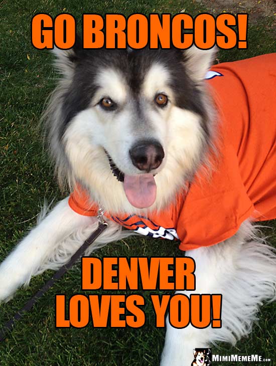 Smiling Dog in Broncos' Shirt Says: Go Broncos! Denver Loves You!
