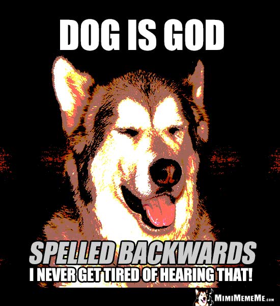 Dog Joke: Dog Is God spelled backwards. I never get tired of hearing that!