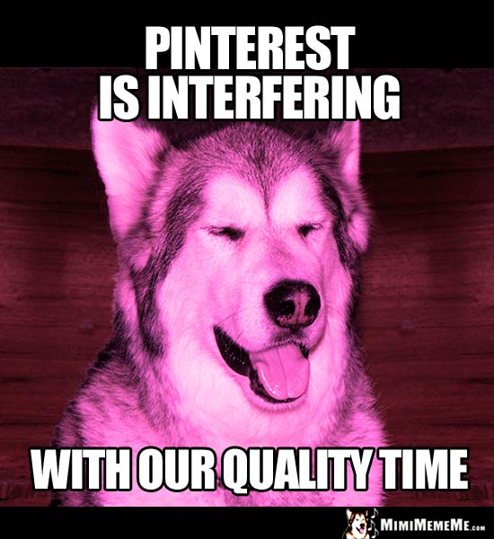 Crafty Girl Dog Says: Pinterest is interfering with our quality time.