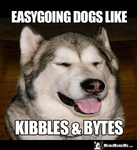 Smiling Dog Says: Easygoing dogs like Kibbles & Bytes