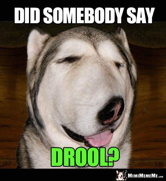 Big Nose Dog Asks: Did somebody say Drool?