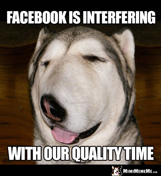 Nosey Dog Says: Facebook is interferiing with our quality time.