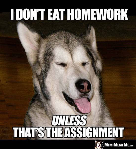 Smart Dog Says: I don't eat homework, unless that's the assignment.