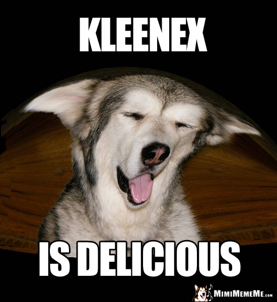 Playful Pup Says: Kleenex is Delicious