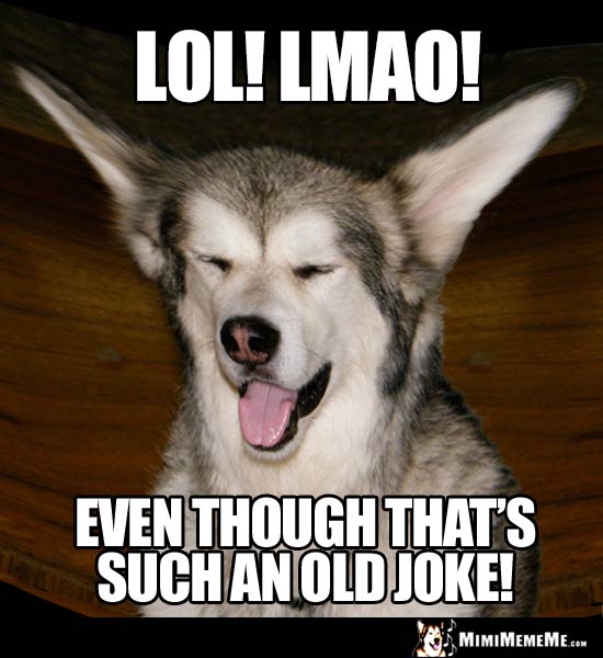 Laughing Dog Says: LOL! LMAO! Even though that's such an old joke!