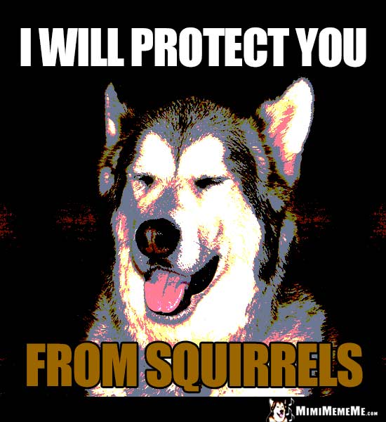 Smiling Dog Says: I will protect you from squirrels.