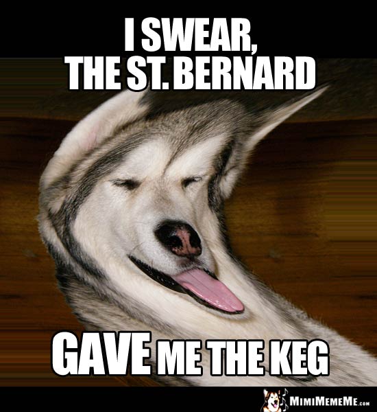 Drunken Looking Dog Says: I swear, the St. Bernard gave me the keg.