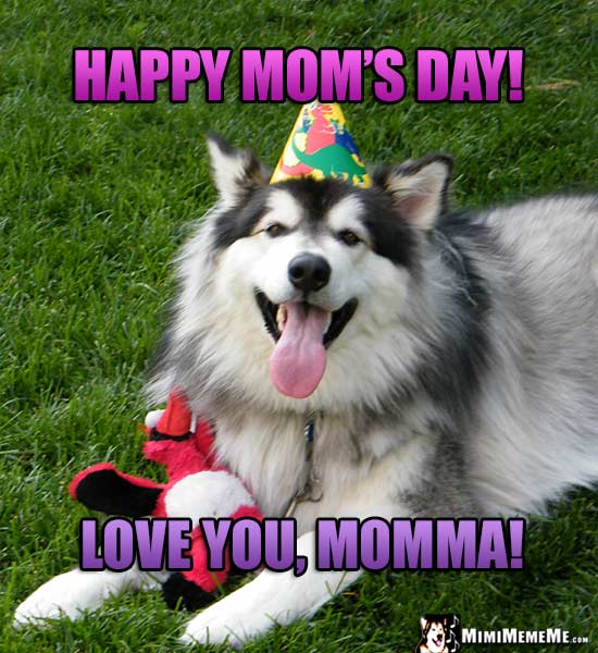 Smiling Dog in Party Hat Says: Happy Mom's Day! I Love You, Momma!