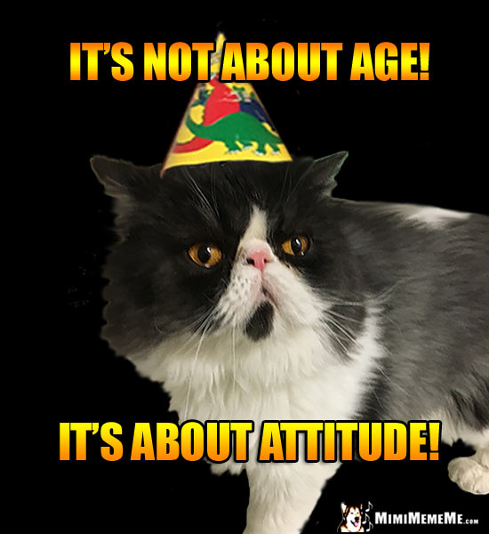 Cat Birthday Humor: It's not about age! It's about attitude!