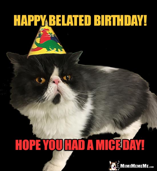 Cat Wearing Party Hat Says: Happy Belated Birthday! Hope you had a mice day!