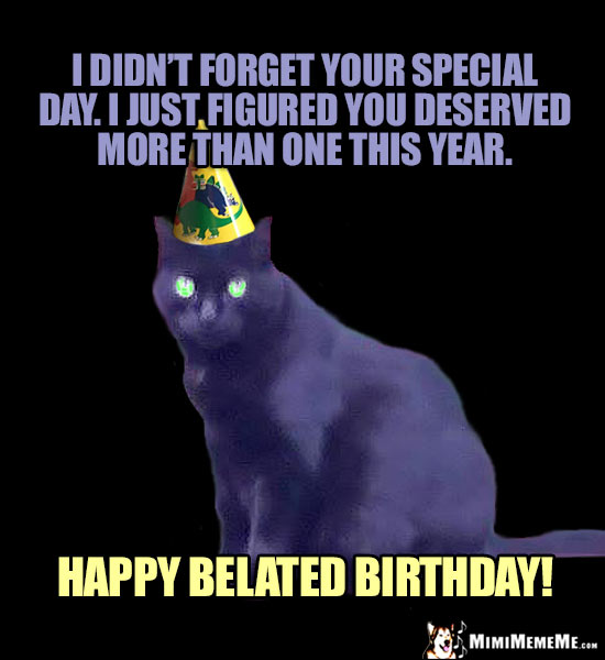Black Party Cat Says: I didn't forget your special day. I just figured you deserved more than one this year. Happy Belated Birthday!
