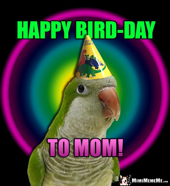Parrot in Party Hat Says: Happy Bird-Day to Mom!