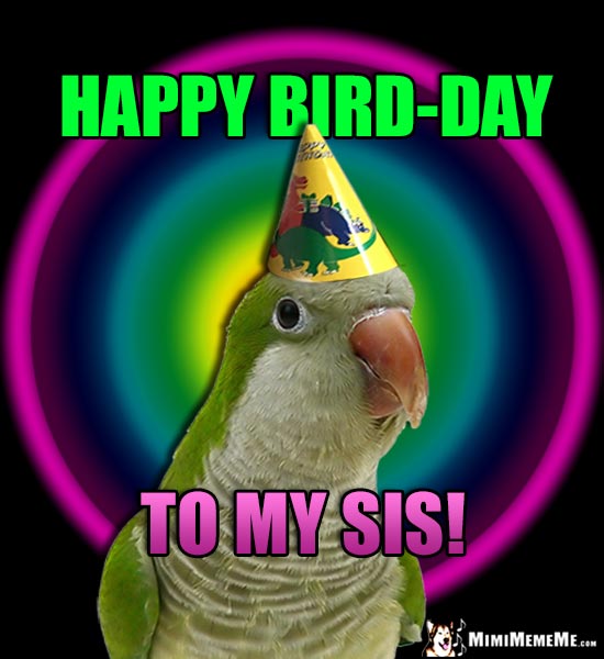 Parrot Wearing Party Hat Says: Happy Bird-Day to My Sis!