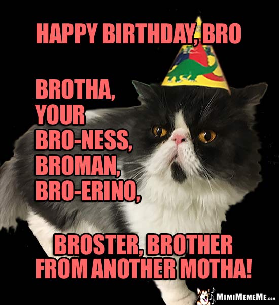 Cat in Party Hat: Happy Birthday, bro, brotha, your bro-ness, broster...
