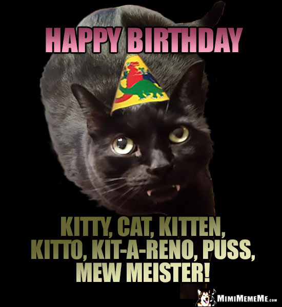 Cat in Party Hat: Happy Birthday Kitty, Dat, Kitten, Kitto...