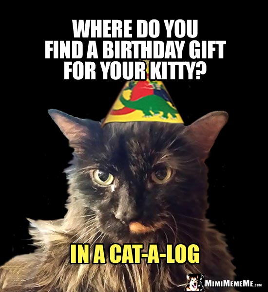 Cat in Party Hat: Where do you find a birthday gift for your kitty? In a cat-a-log.