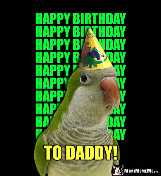 Parrot in Party Hat Says Happy Birthday 10 Times... To Daddy!