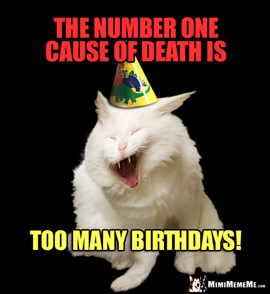Funny Cat in Party Hat: The number one cause of death is too many birthday!