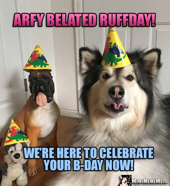 Dog Wearing Party Hat Says: Arfy Belated Ruffday! We're here to celebrate your B-Day now!
