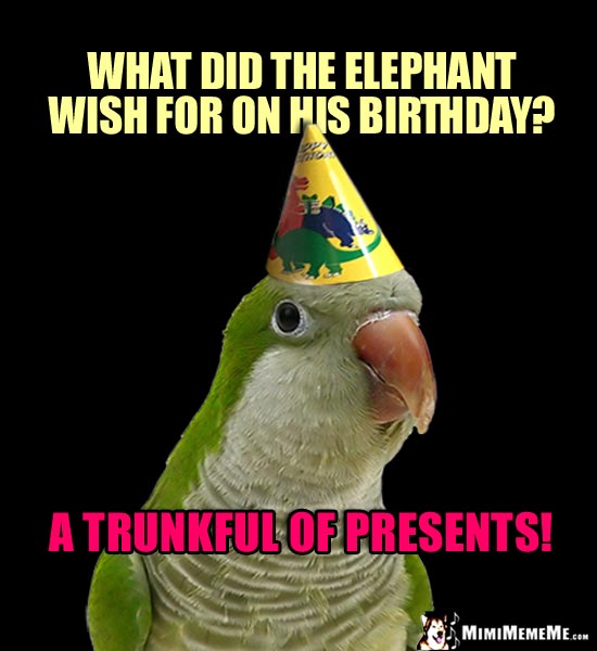 Party Bird: What did the elephant wish for on his birthday? A trunkful of presents!