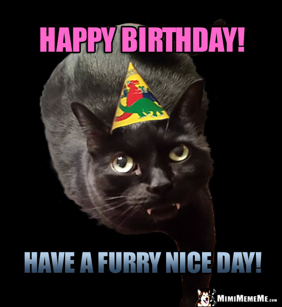 Cat in Party Hat Says: Happy Birthday! Have a furry nice day!