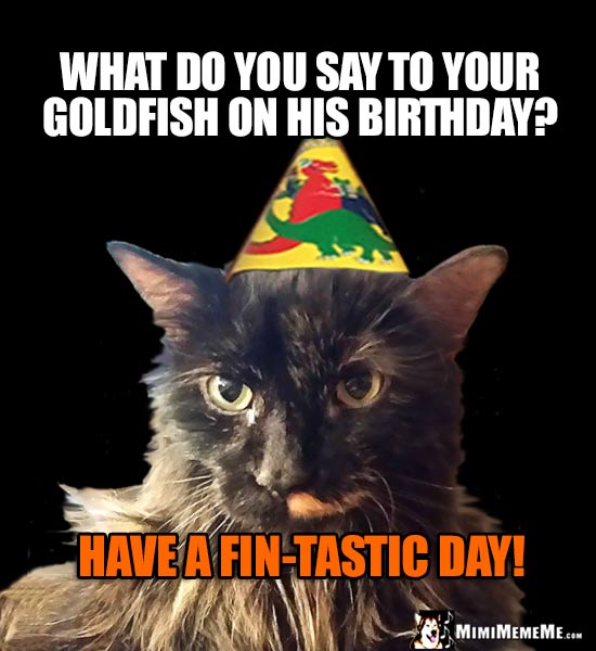 Party Cat: What do you say to your goldfish on his birthday? Have a fin-tastic day!