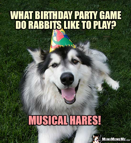 Party Dog Asks: What birthday party game do rabbits like to play? Musical Hares!