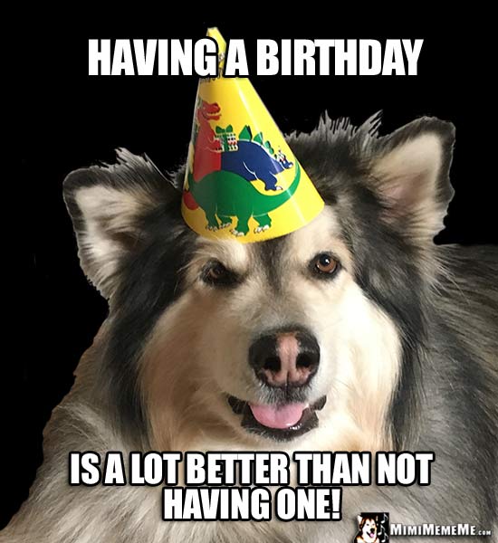 Big Party Dog Says: Having a birthday is a lot better than not having one!