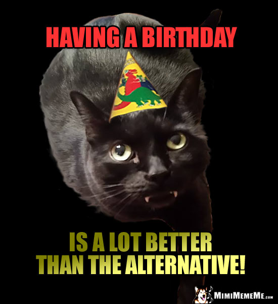 Dark Party Cat Says: Having a birthday is a lot better than the alternative!