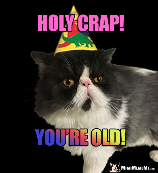Smug Party Cat Says: Holy Crap! You're Old!