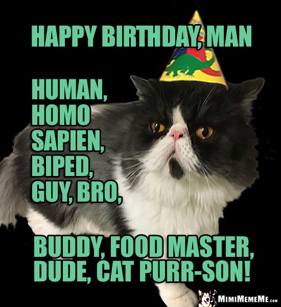 Party Cat Says: Happy Birthday Man, Human, Homo Sapien, Food Master, Dude, Cat Purr-son!