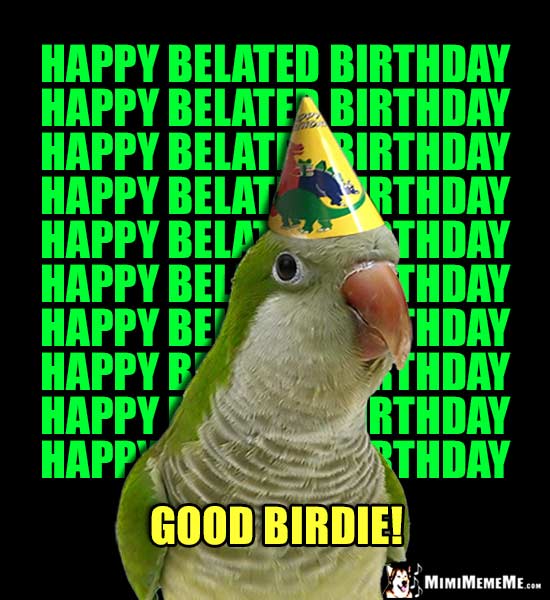 Parrot Wearing Party Hat Repeatedly Says: Happy Belated Birthday... Good Birdie!