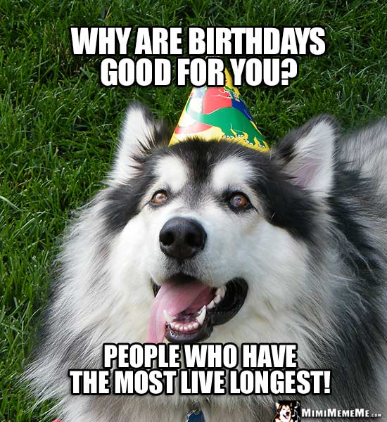 Dog in Party Hat Asks: Why are birthdays good for you? People who have the most live longest!