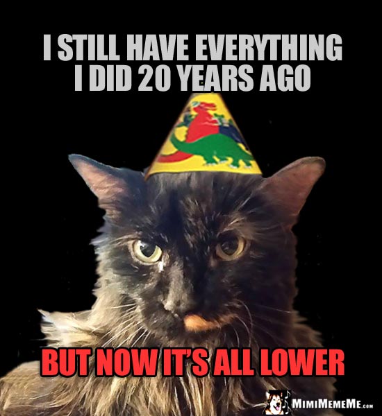 Party Cougar Humor: I still have everything I did 20 years ago, but now it's all lower.