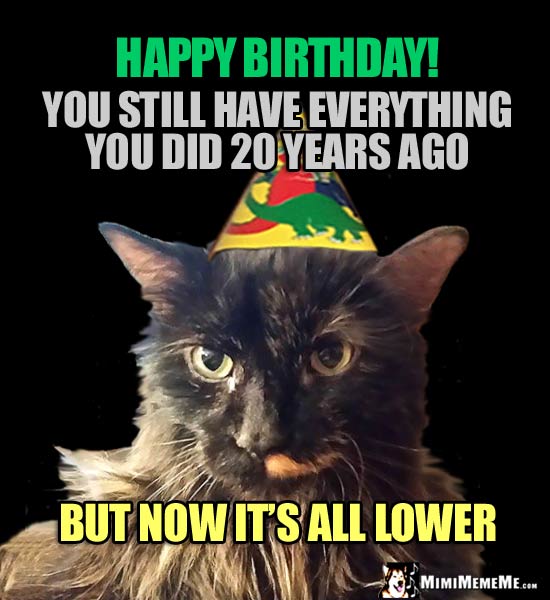 Party Cats Says: Happy Birthday! You still have everything you did 20 years ago, but now it's all lower.