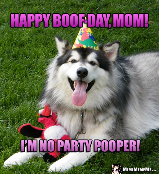 Smiling Dog Wearing Party Hat Says: Happy Boof-Day, Mom! I'm no party pooper!