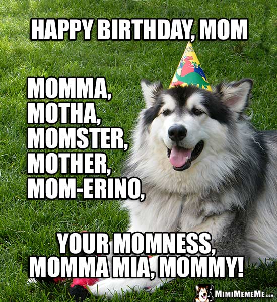 Party Dog Says: Happy Birthday, Mom, Momma, Motha, Momster, Momma Mia...