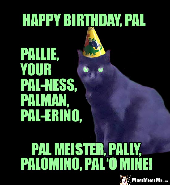 Party Cat Says: Happy Birthday, Pal, Pallie, Your Pal-ness, Palman...