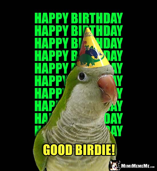 Funny Parrot wishes you Happy Birthday, Happy Birthday, Happy Birthday... Good Birdie!