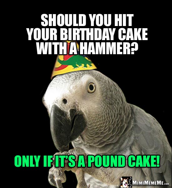 Party Parrot Asks: Should you hit your birthday cake with a hammer? Only if it's a Pound Cake!