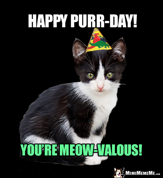 Party Kitten Says: Happy Purr-Day! You're Meow-Valous!